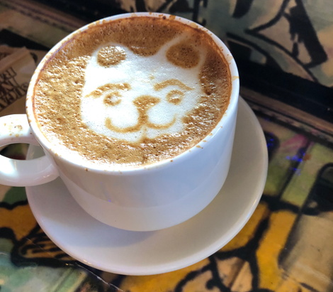 Bear or cat? Edible art at the Boogie Down Grind